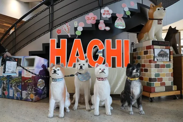 大館市打造「秋田犬之鄉」