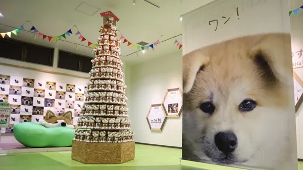 大館市打造「秋田犬之鄉」