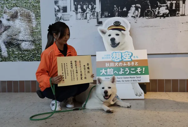 大館市打造「秋田犬之鄉」
