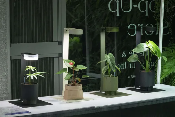 ONF《RE:PPP LAB 叁數植造所》
