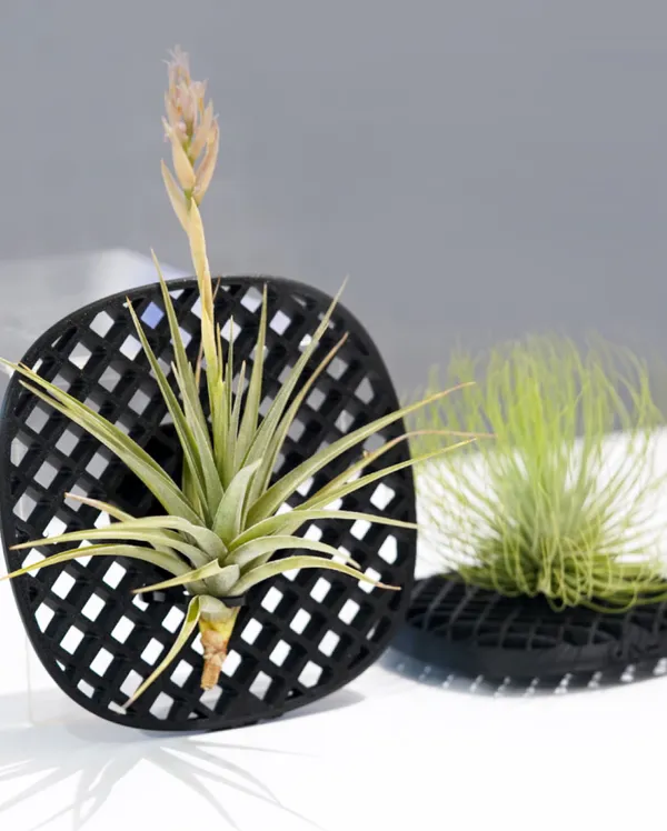 ONF《RE:PPP LAB 叁數植造所》