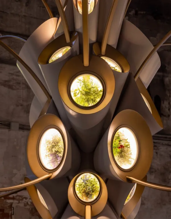Heatherwick Studio 打造「太空花園」
