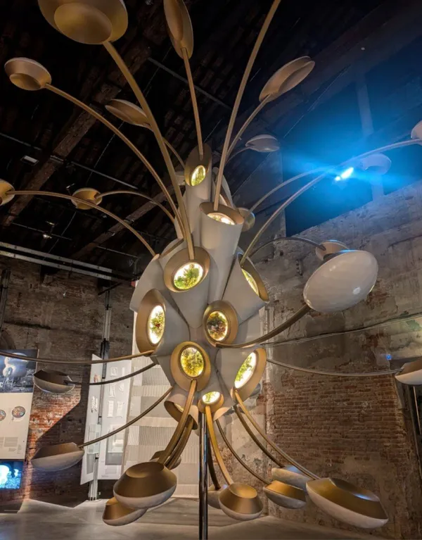 Heatherwick Studio 打造「太空花園」