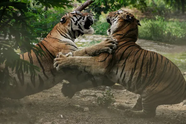 feature picture