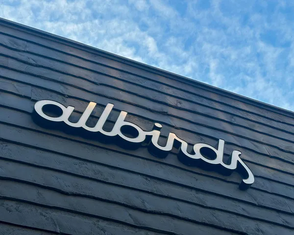 Allbirds