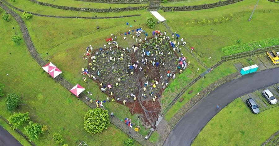 150 人參與、種下逾千株原生種！巨思文化如何打造全市最大「宮脇式森林」？
