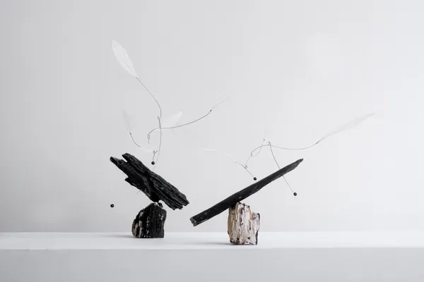 張芝瑄個展《俳句時刻》