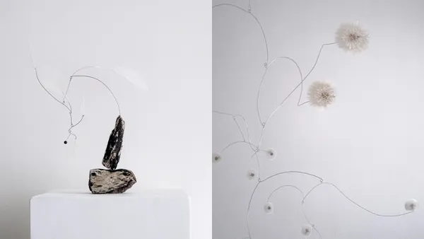 展現花開花落定格瞬間！張芝瑄個展《俳句時刻》以植物動態平衡雕塑，捕捉內在感知與自然回聲