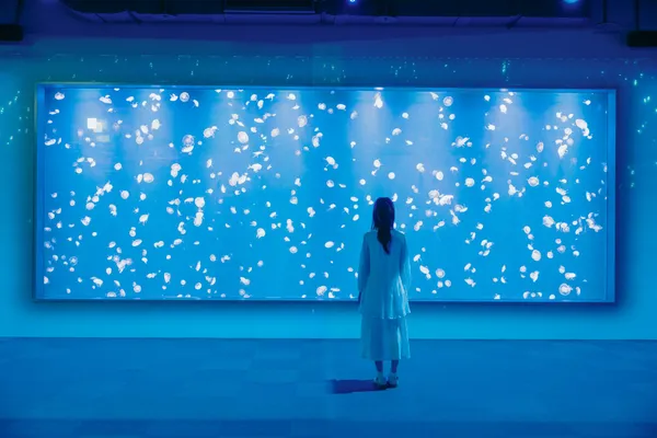 台中海洋館 8 大展區公開