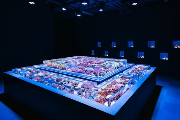 台中海洋館 8 大展區公開