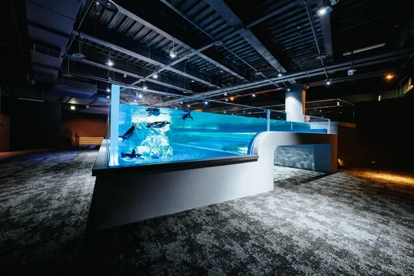 台中海洋館 8 大展區公開