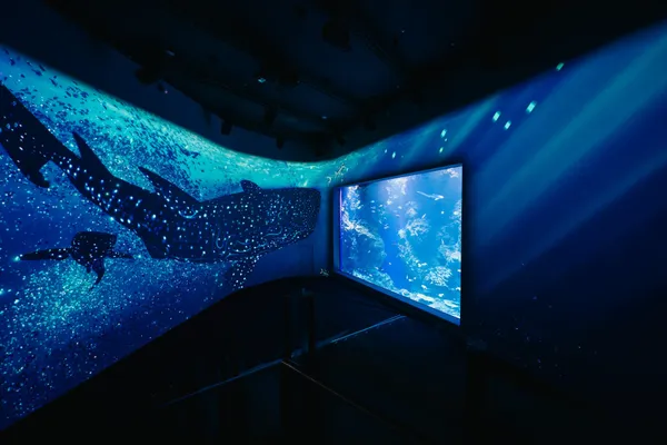 台中海洋館 8 大展區公開
