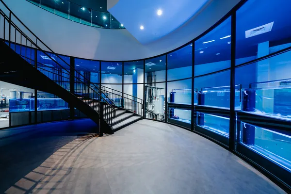 台中海洋館 8 大展區公開