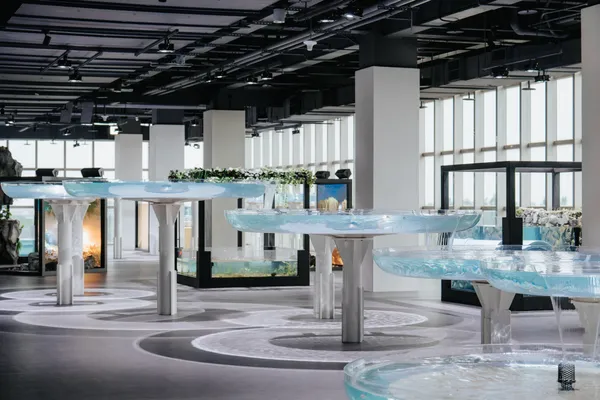 台中海洋館 8 大展區公開