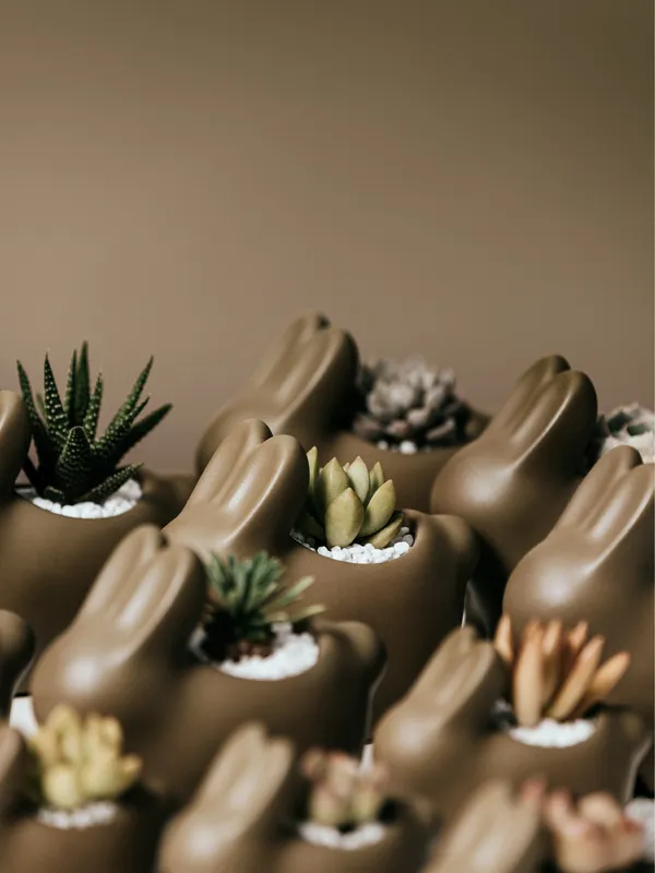 2025 中秋月餅禮盒 有肉 SUCCULAND╳小茶栽堂 秋酌綠香三段式植品禮盒