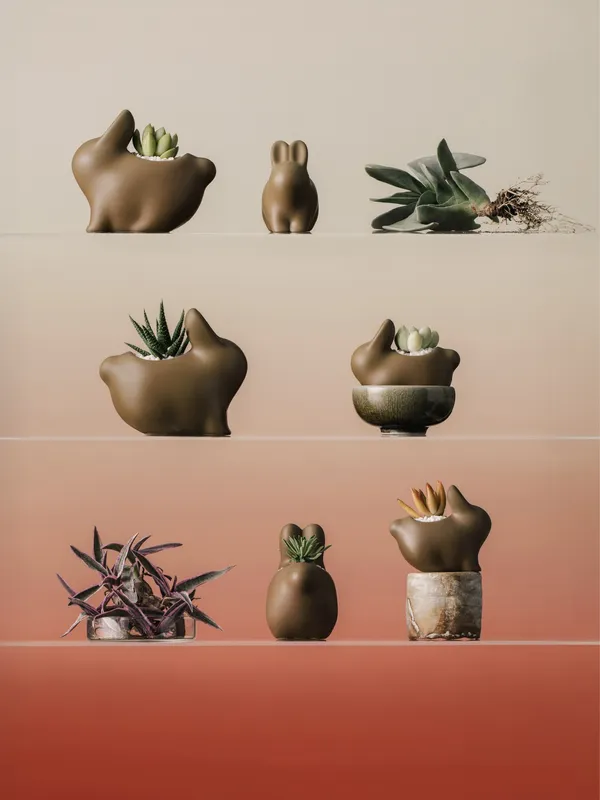 2025 中秋月餅禮盒 有肉 SUCCULAND╳小茶栽堂 秋酌綠香三段式植品禮盒