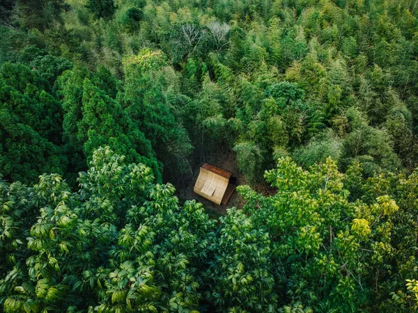 范承宗《小竹屋計劃：粽子》