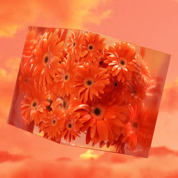 Orange_1x1.jpg