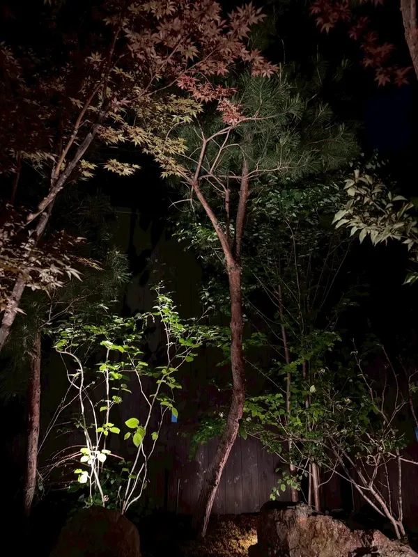 吳書原專欄