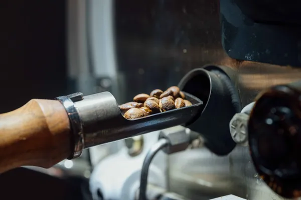 Branch Coffee Roasters