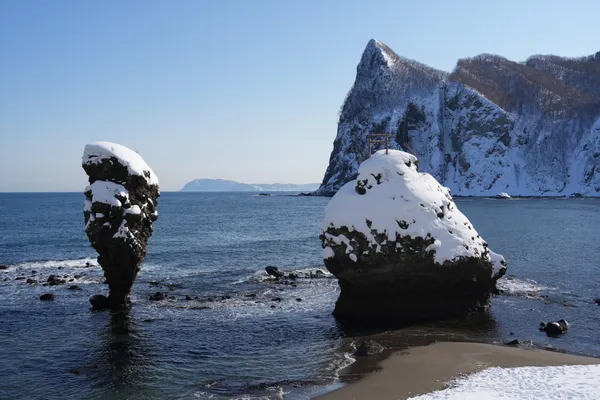 專訪 北海道余市町長 齊藤啓輔