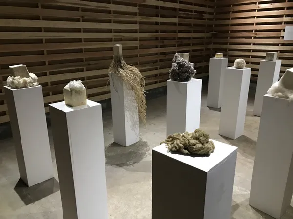 FUJI TEXTILE WEEK