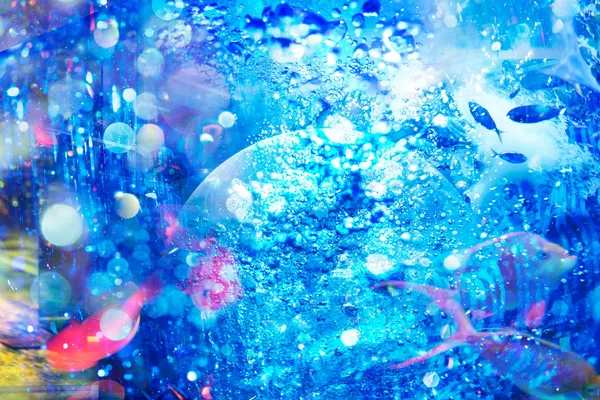 蜷川實花在神戶港打造《共鳴水族館》