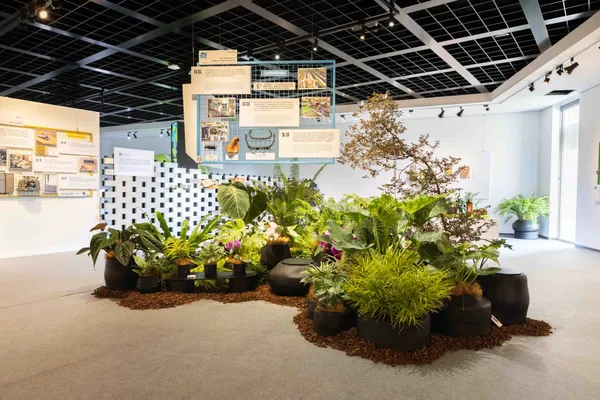 台灣設計展 跨界行
