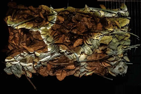 張晏慈作品「緩慢地聆聽」曾於臺灣黃金蝙蝠生態館、德國Gemeinde Köln展出。