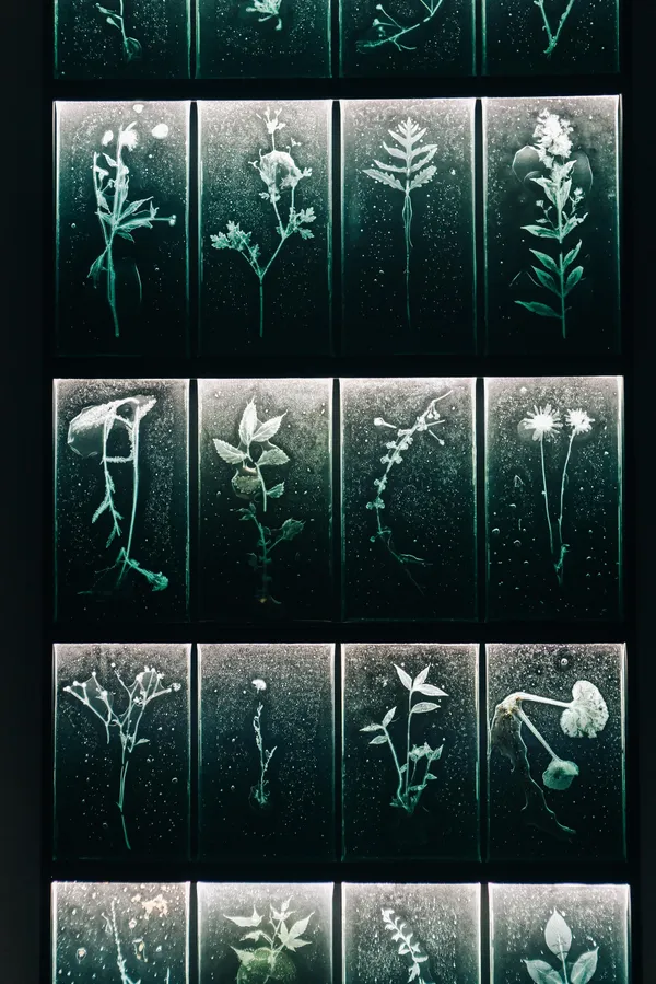 南美館「皮膚と內臟：自己、世界、時間」