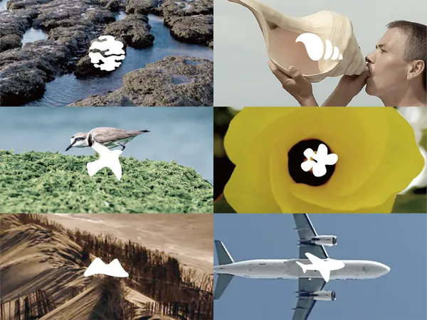 桃園珍珠海岸新識別_3