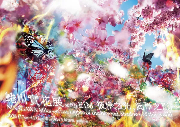 蜷川實花《彼岸之光，此岸之影》