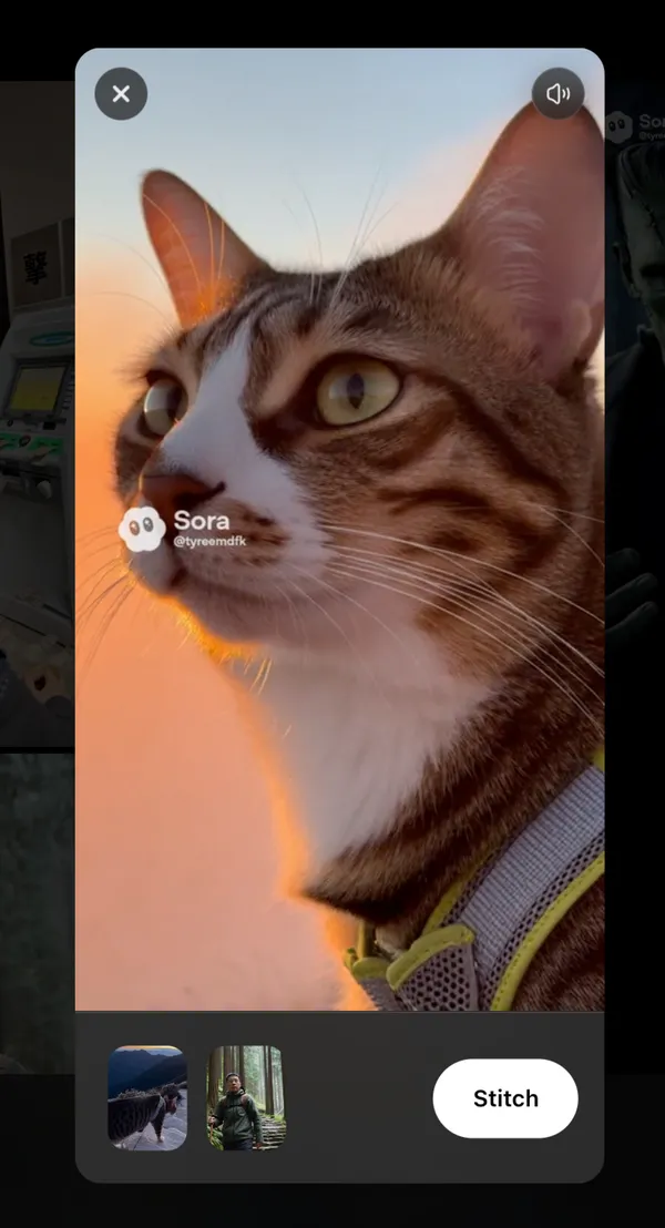 可以透過Stitch拼接影片