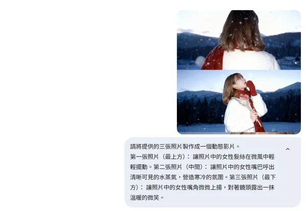 veo 影片生成2.jpg