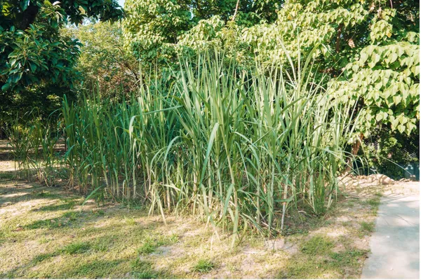 05.jpg