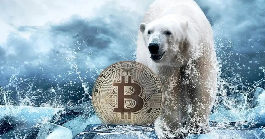 比特幣下探7個月低點，今年漲幅全噴光！分析師卻稱：現在就說熊市還太早