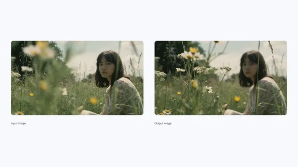 Google 圖十五：透過調整景深或焦點（例如聚焦於花朵）來凸顯構圖細節。.jpg