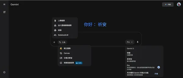 Gemini 功能教學