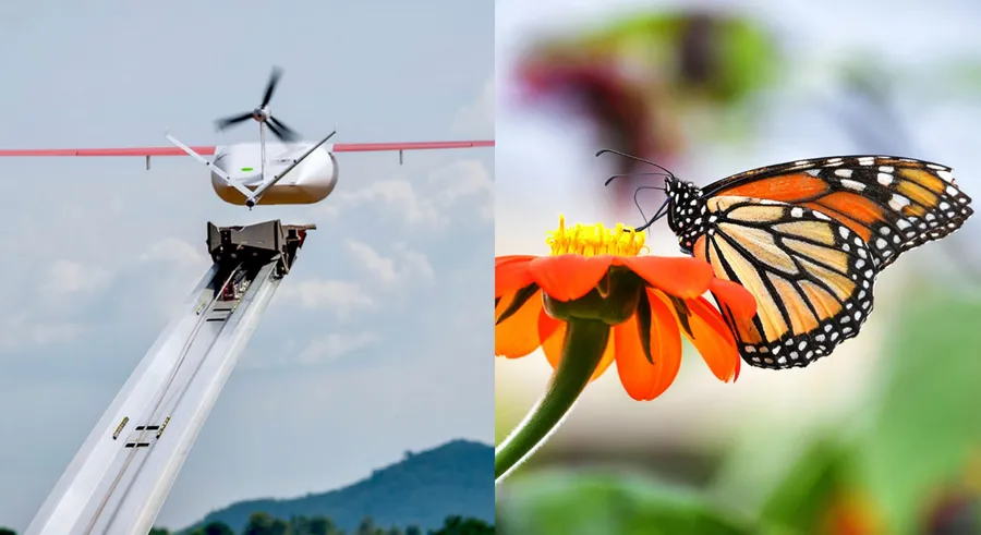 無人機應用比你想得更偉大！「光之警察」DJI變國寶蝶保鑣、Zipline深鑽偏鄉助威醫療