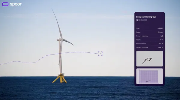 不讓小鳥「自殺突擊」也是門好生意？新創Spoor用AI盯住每一對翅膀，完成3億元募資 