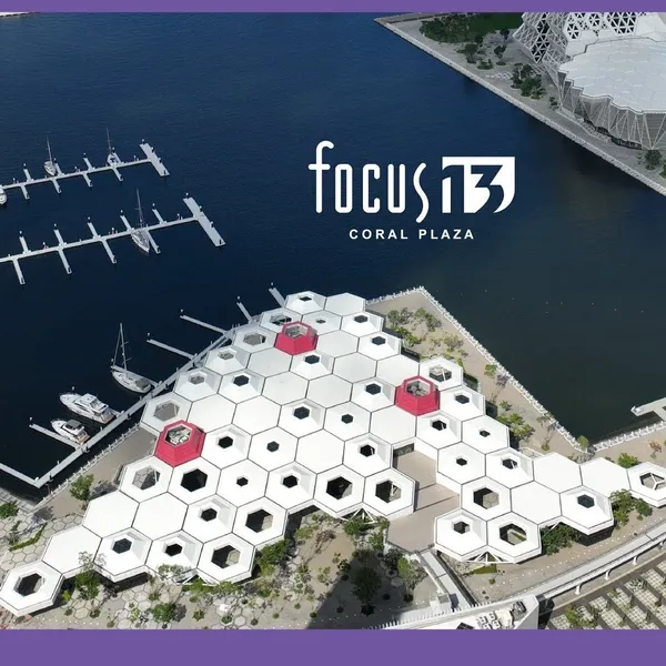 focus 13