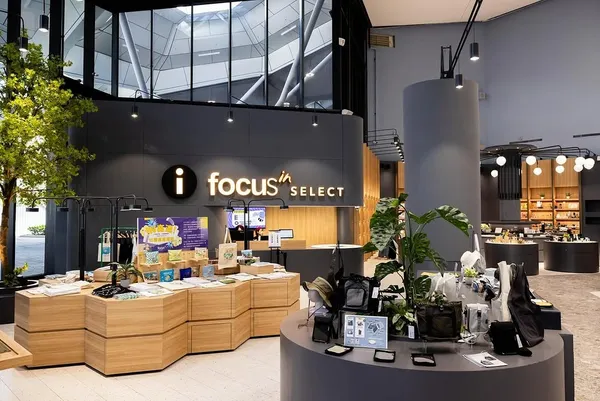 focus 13