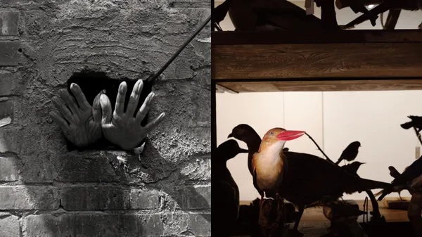 北師美術館推出年末攝影雙展！《人間》雜誌的報導攝影、東京博物館跨域影像等展覽亮點