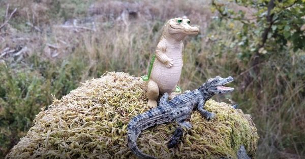  老闆一急起來，什麼都聽不進去怎麼辦？安撫「鱷魚腦」的減壓溝通 SOP