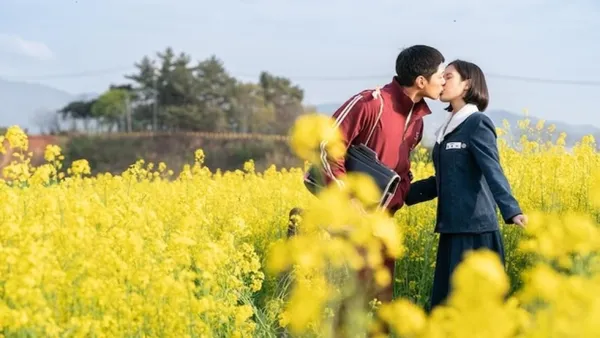 苦盡柑來遇見你