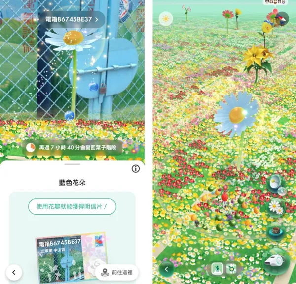 皮克敏配圖 (5).jpg