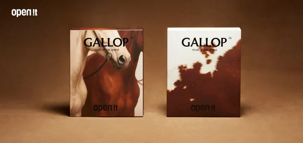 2026 新年質感禮盒