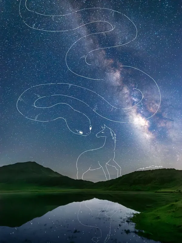 2026 馬年插畫&設計