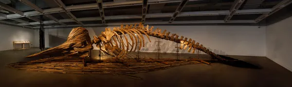 台北當代藝術館 2026 年度展覽