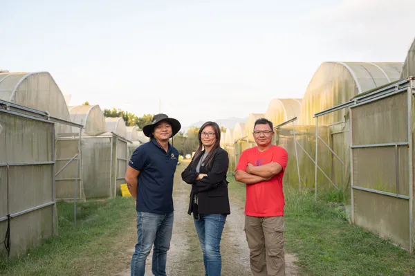 目標成為台灣最大玫瑰基地：杉恆壹樹導入AIoT智慧農業，農田管理效率大增一倍 